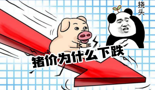 猪价下跌的4个原因曝光，春节能触底反弹吗？