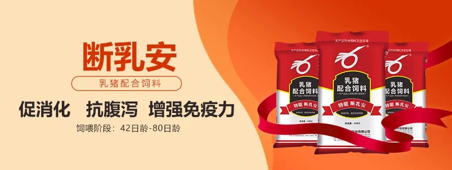 中国电子游艺网站下载安装
