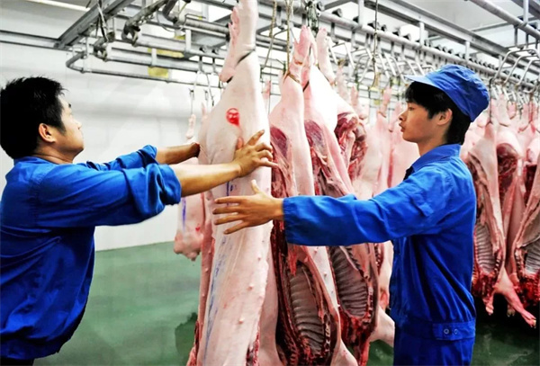 中国电子游艺网站下载安装
