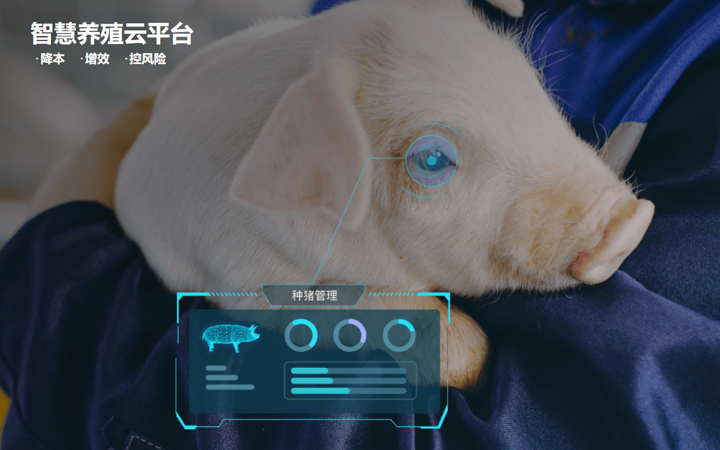 请查收！铁骑力士猪业2022年度大事记