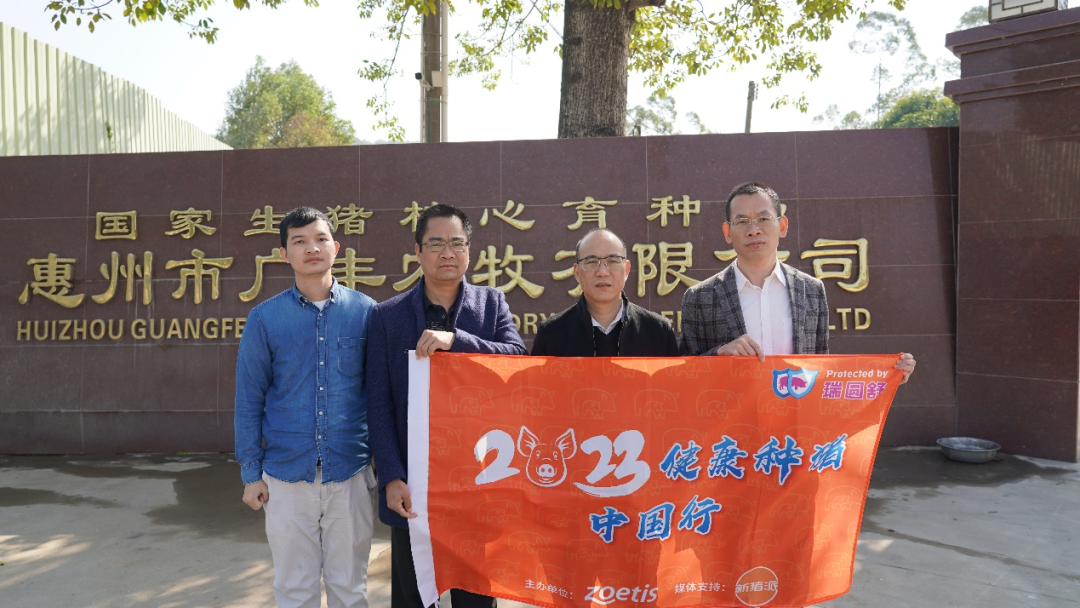 高产、抗病力强、长速快！广丰农牧潜心耕耘育种十余载，强势打造健康种猪！