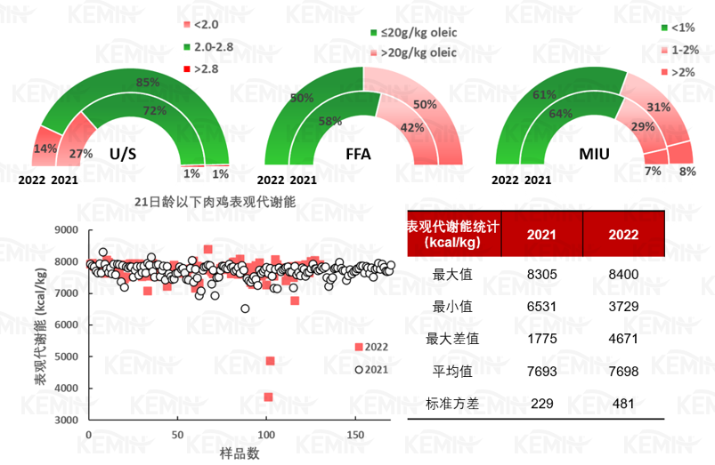 中国电子游艺网站下载安装
