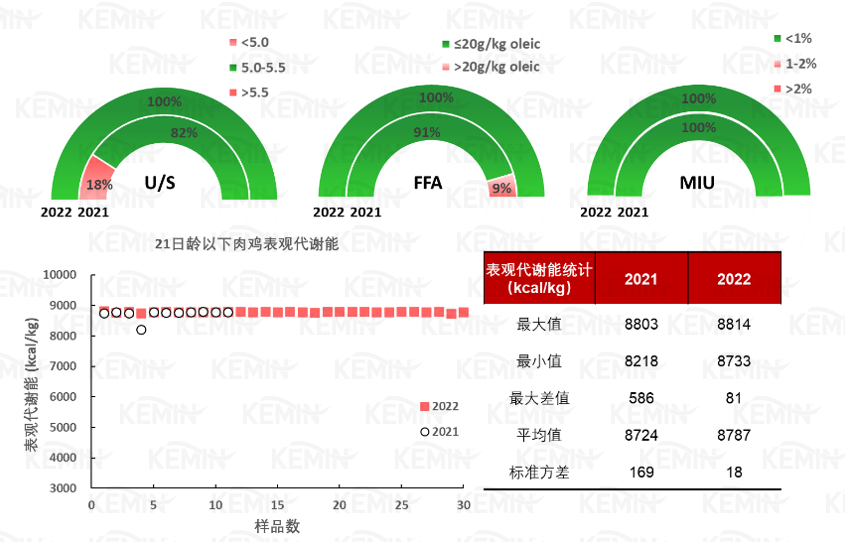 中国电子游艺网站下载安装
