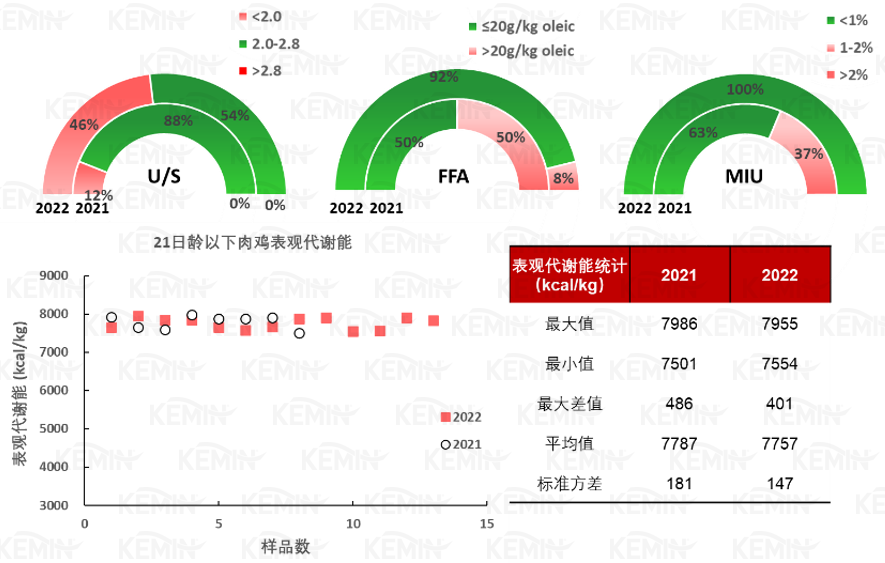 中国电子游艺网站下载安装
