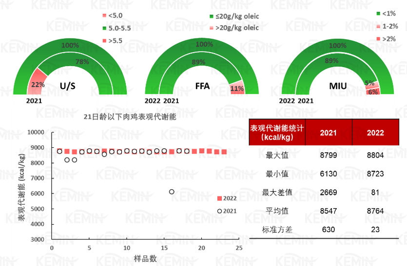 中国电子游艺网站下载安装
