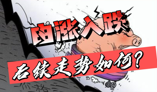 02月03日猪价：生猪市场进一步恶化，后续走势如何？