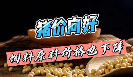 猪价最高涨3.33元/公斤！豆粕跌破4600元/吨！