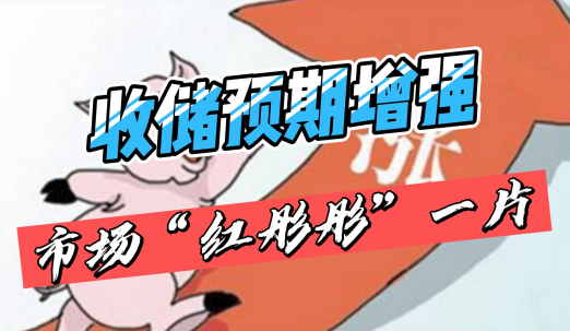 收储预期增强！猪价上涨！ 涨势能否持续？