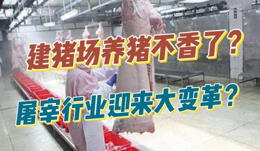 建电子游艺网站
养猪不吃香了？现在流行建屠宰厂？