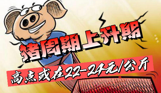 业内预测：新周期来临，年内高点或在22-24元/公斤！
