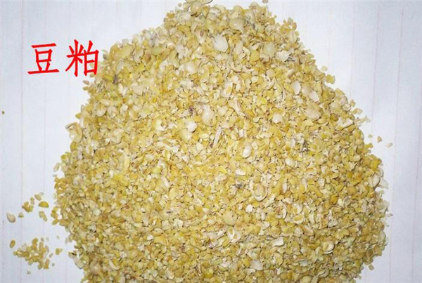 幼龄动物如何选择蛋白原料？来看看欧洲同行是怎么做的