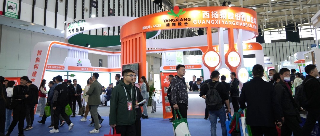 共享增效降本方案！扬翔亮相中国饲料工业展览会