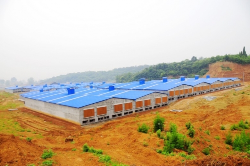 电子游艺网站
建设有十大禁忌，你知道吗？看完少走弯路
