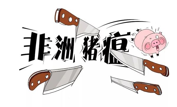 这样做防控非洲猪瘟效果好，养猪人都说好用！