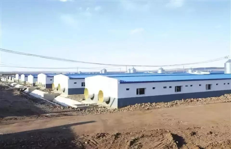 如何合理布局电子游艺网站
猪舍建设布局，发挥养猪设备最佳性能？这里有答案