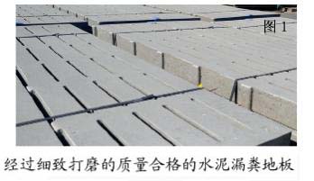 外国育种公司式如何建立自己的核心育种场的？（图）