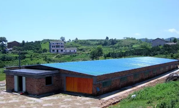 规划建设新电子游艺网站
，确保建设成功的最重要因素是什么?