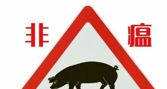 电子游艺网站
为什么防控不住非瘟？非洲猪瘟防控失败的原因以及正确防非的方法！