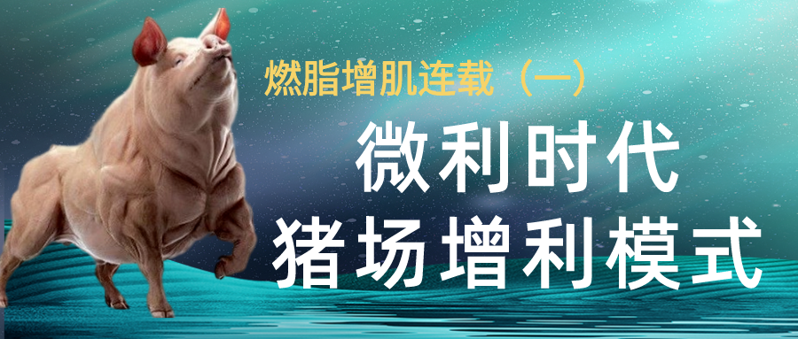 燃脂增肌连载（一）微利时代电子游艺网站
增利模式