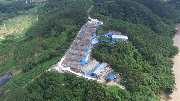 永不言输！因FW全军覆没，他重新发展到2000余头母猪规模（下）