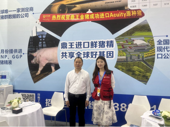 推动行业高质量发展，争做品种改良先行者——鼎王金猪，安全放心！