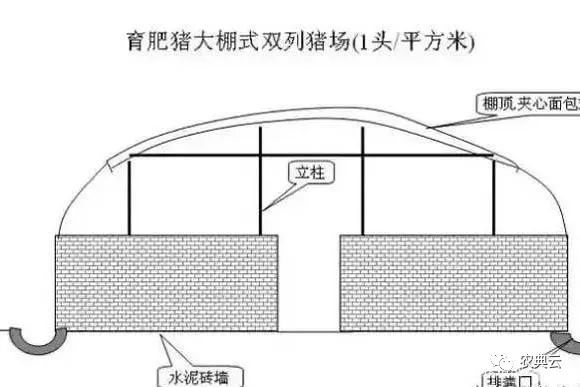 在农村办个养电子游艺网站
，该怎样科学建设好？这些建议很重要