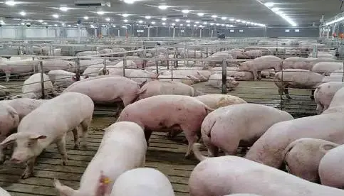 电子游艺网站
建设存在的问题与解决方法，可收储！