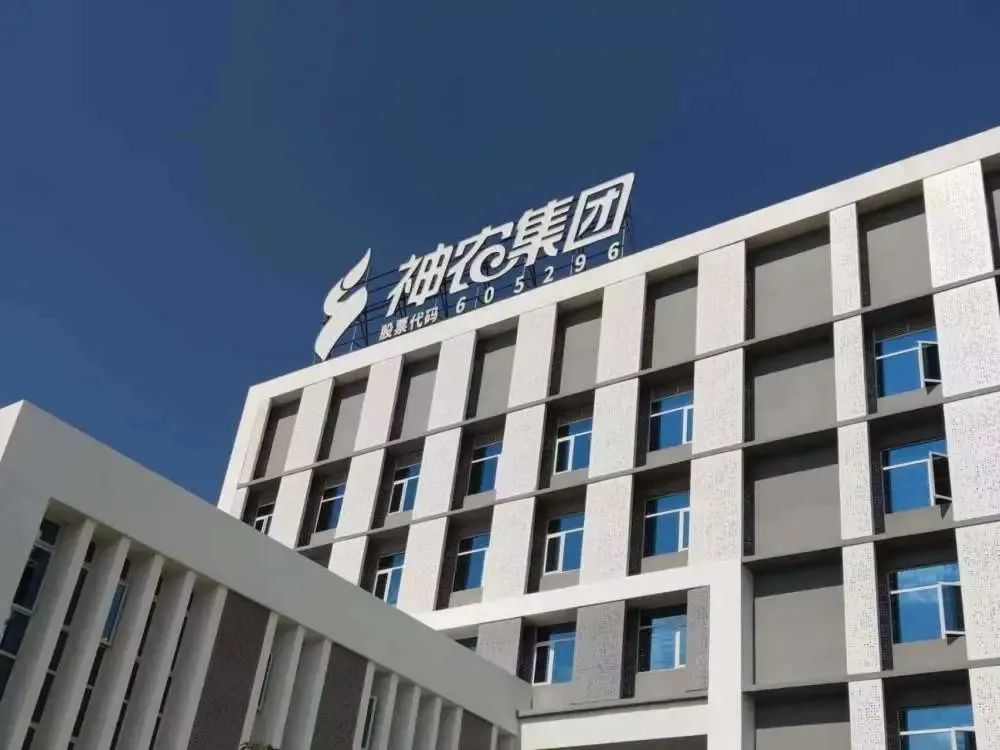 逆势扩产！神农集团拟定增11.5亿用于扩张饲料加工、生猪养殖产能！