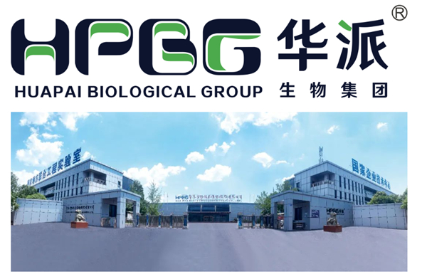 案例分享 | 链传胸康可以有效降低保育猪链球菌病和中大猪传染性胸膜肺炎的发生