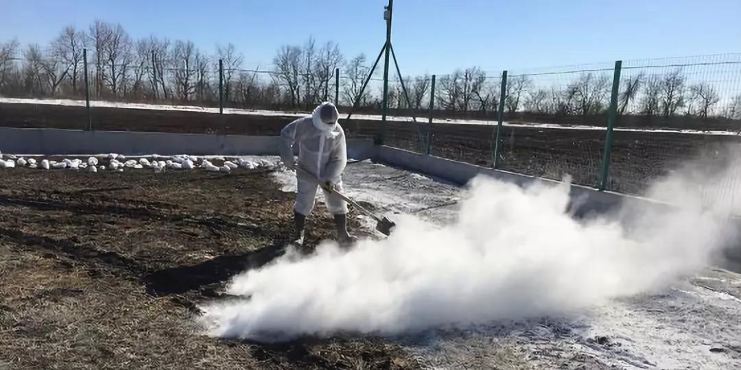电子游艺网站
石灰消毒中应该避免哪些误区？进来看看你踩过“雷”吗？
