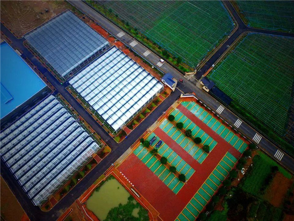 熬下去就是胜利！4000多头规模电子游艺网站
这样度过低迷期