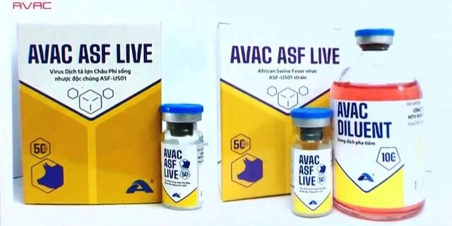越南非洲猪瘟疫苗的成功实施是重要的进展，但还有很长的路要走