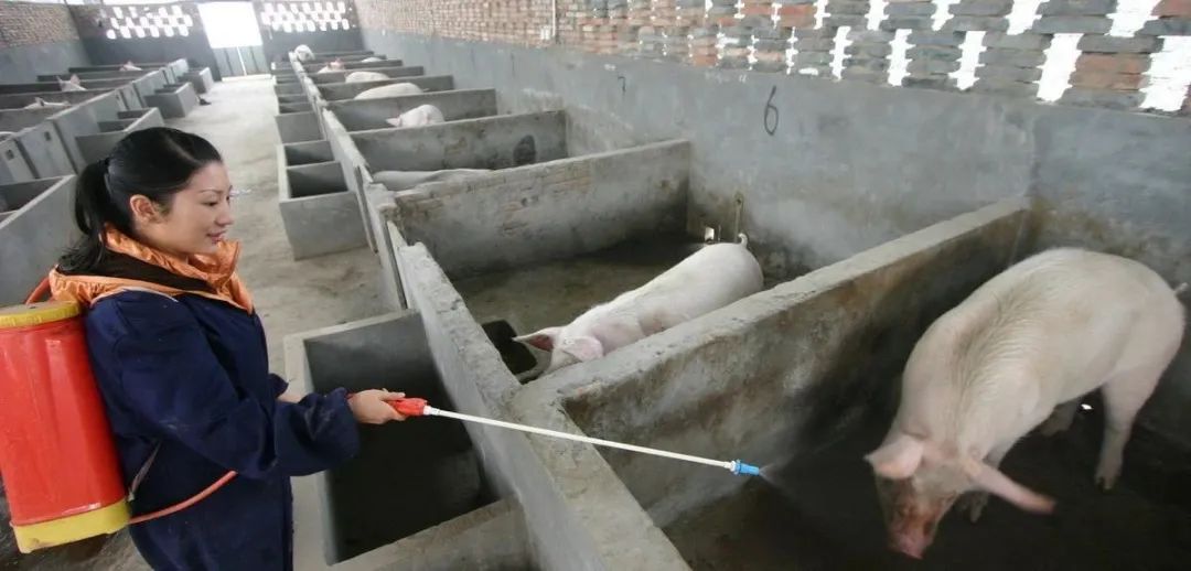 电子游艺网站
经常消毒，为何达不到消毒效果？这些误区你一定要知道