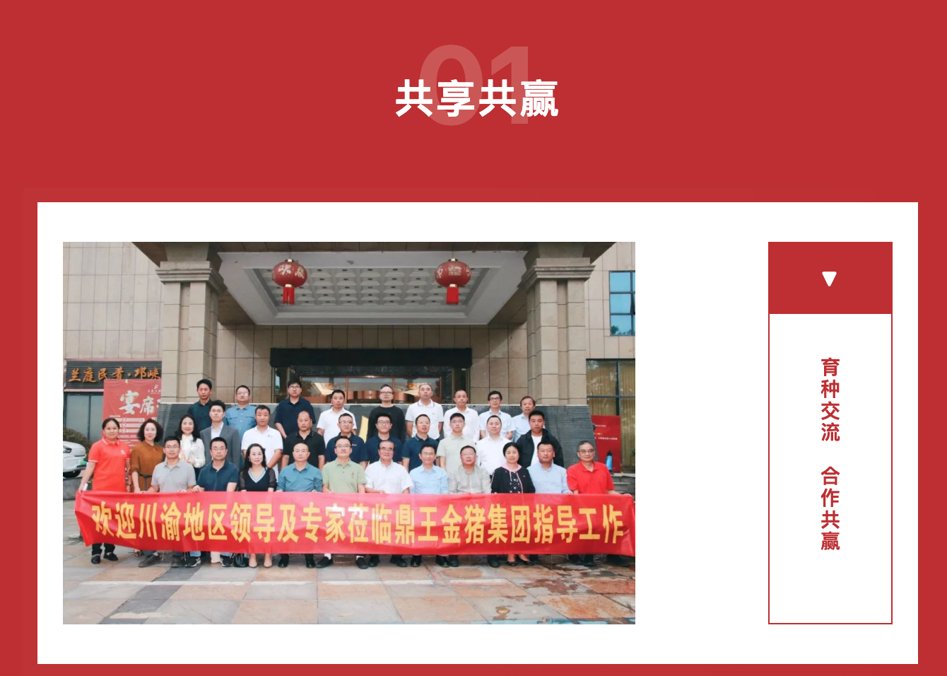 祝贺！成渝双城经济圈品种改良计划研讨会暨高端种公猪观摩交流会在鼎王金猪成功举办！