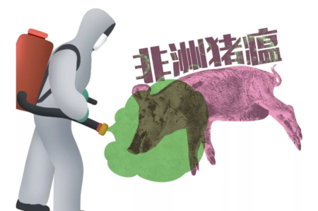 太全了！非洲猪瘟的临床表现、剖检变化和鉴别诊断
