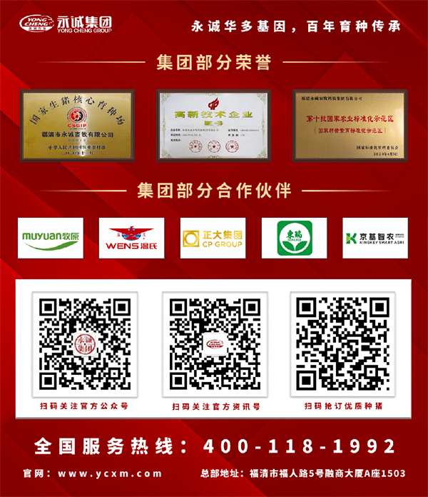 聚焦种猪优质育种，永诚集团盛装出席2023李曼中国养猪大会！