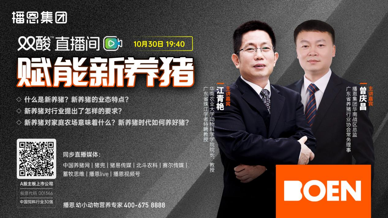 猪价或在11月出现高点？猪价涨涨跌跌，这轮行情要不要赌？