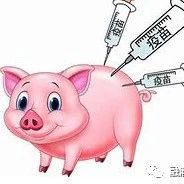 食品中常见兽药解读 | 兽药残留情况和不合格原因