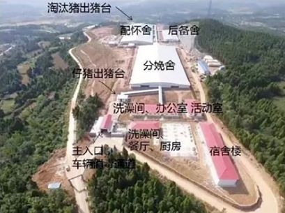 新电子游艺网站
规划建设的条件，你知道吗？