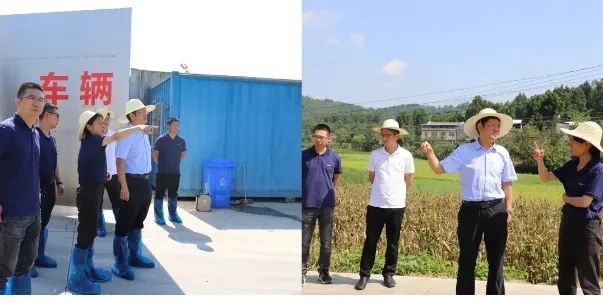 喜讯！铁骑力士光辉原种场获评“国家级动物疫病净化场”