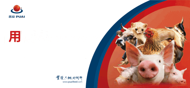 为什么要给养殖动物饲喂发酵饲料？