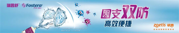 新发地方流行性病毒在猪呼吸道疾病综合征（PRDC）中的协同作用