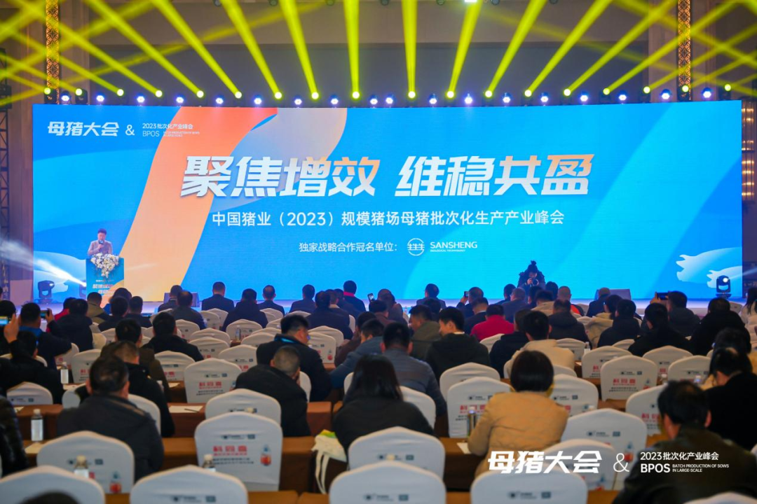 聚焦增效 维稳共盈！宁波三生深度参与“中国猪业（2023）规模电子游艺网站
母猪批次化生产产业峰会”，赋能产业高质发展！