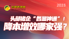 头部猪企“各显神通”！降本增效哪家强？