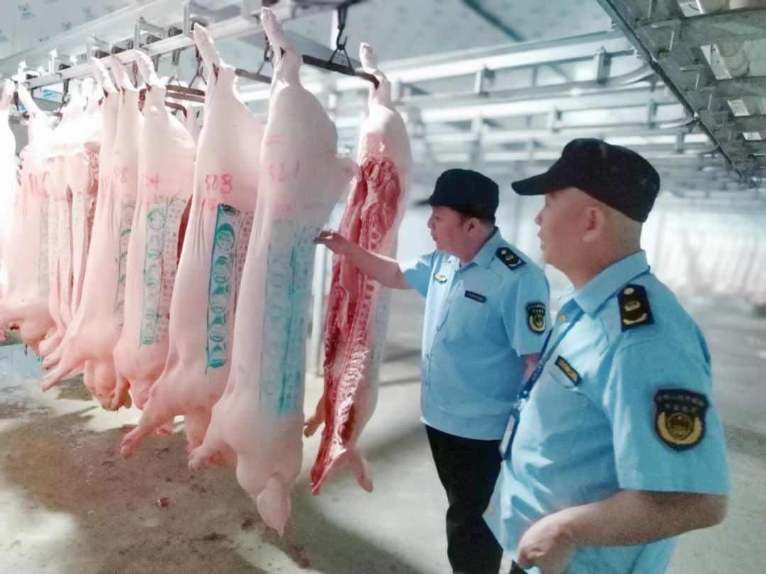 博白县农业综合行政执法大队：强化生猪屠宰行业执法检查，筑牢肉食品质量安全防线