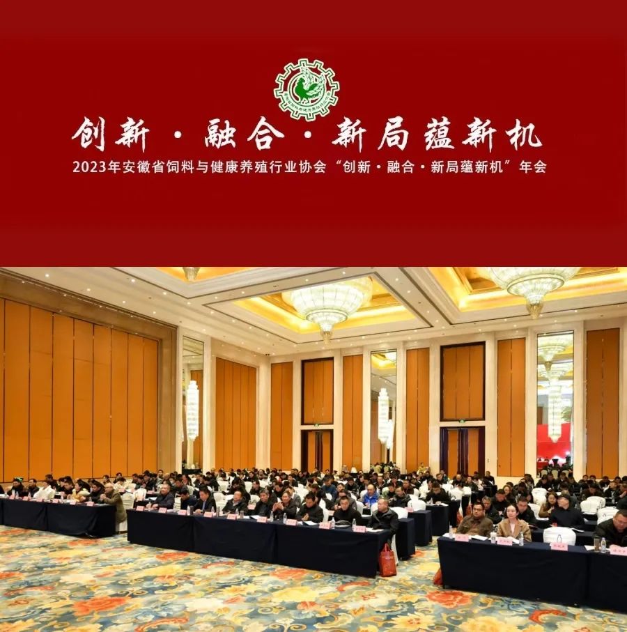 行业强音！安佑集团携教保料新理念亮相2023年安徽省饲料与健康养殖行业协会年会