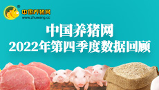 2023年第三季度数据报告