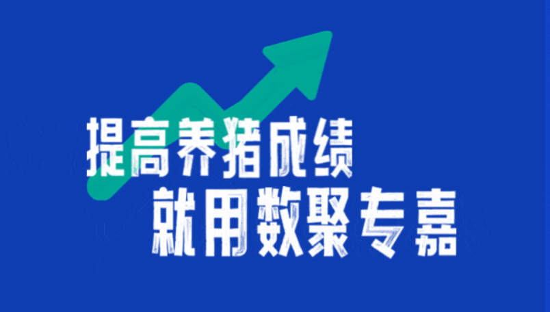 连续3年PSY稳居32+！佳沃思究竟凭啥子？