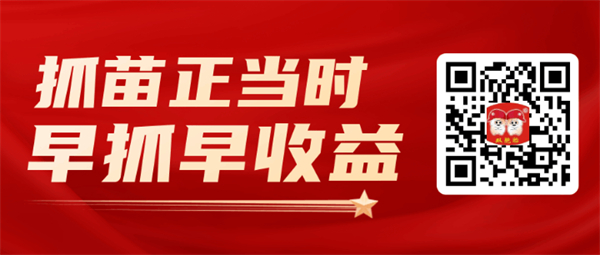未来还要涨？形势好，补栏积极，用料更要有讲究！