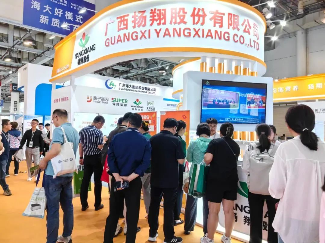 逐时代潮流，打造品质产品！扬翔以“产品+技术+服务”领跑行业前沿！